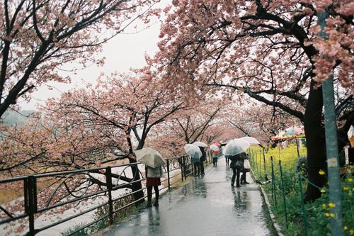 川端康成为什么给文章起名