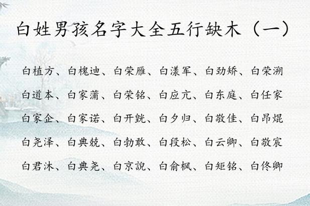 白姓男宝宝取名大全