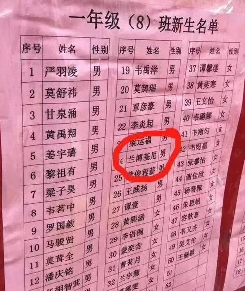 搞笑的小学生
