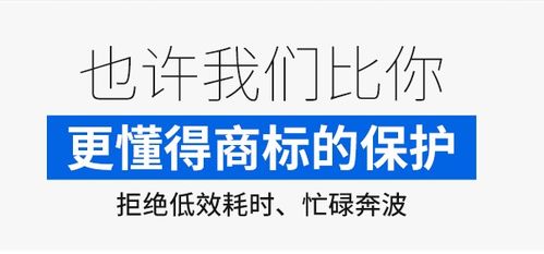公司起名大全免费取名