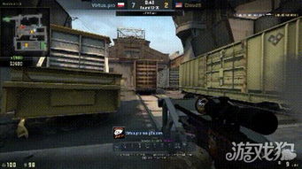 csgo野火起名