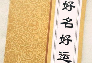 武姓女孩起名三个字好听点