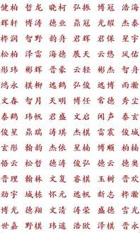 动森取什么名字