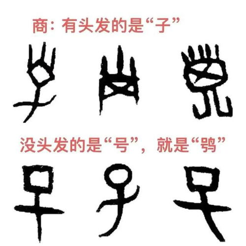 舒字起名的寓意