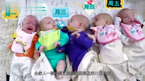 五胞胎起名最新新闻