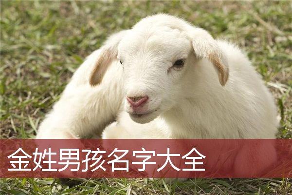 狗宝宝姓李起什么名字