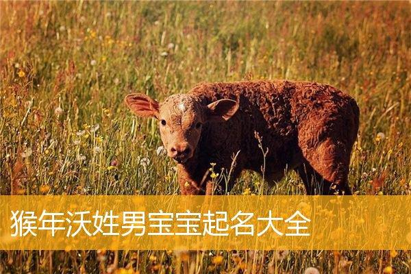 猴年男孩取名字寓意好的字