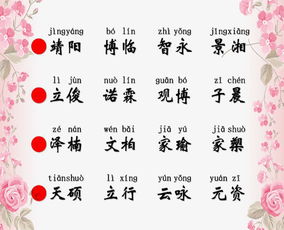 属猪怎么起小名