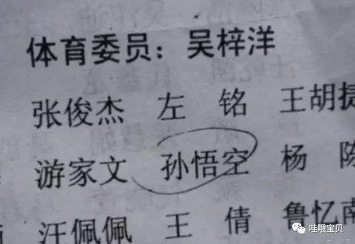 寺庙里的居士能给孩子起名吗
