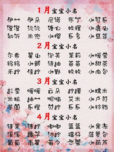 小新妹妹的名字是谁起的