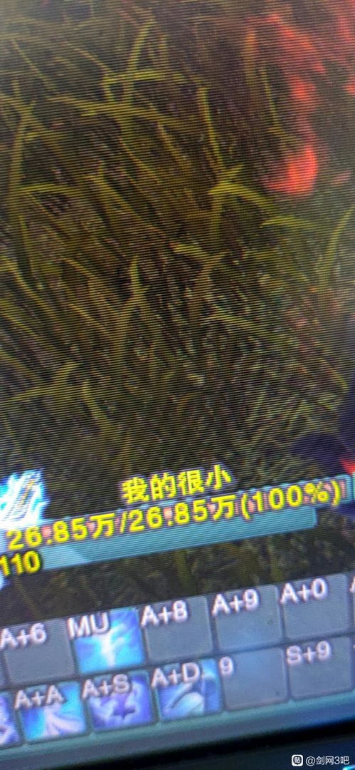 剑三起名字能用的符号