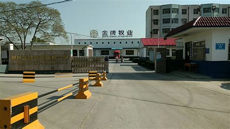 连锁取名