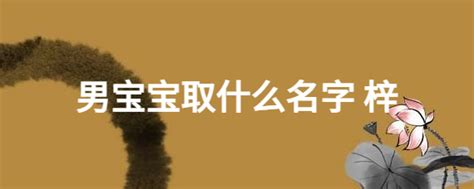 梓取名字男孩名字
