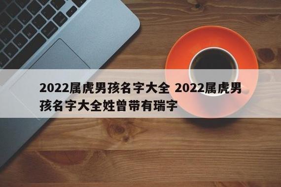 姓曾的男孩子取