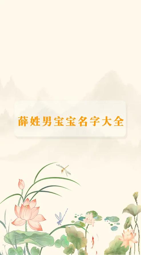 姓薛的男孩英文名