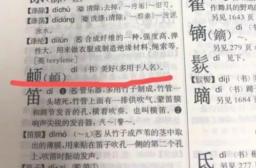 小男孩姓徐的名字