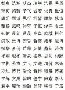 李姓最有创意的名字
