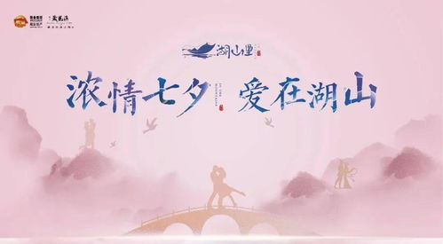 芒种什么星座