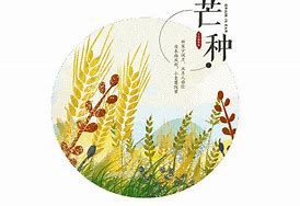 虎年出生日月时的命运