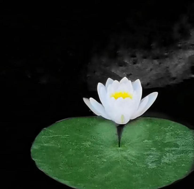 1.欣赏的效益