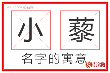 小藜起名探索文化深处的命名艺术