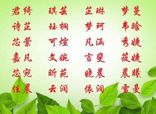 萌趣盎然探究“可爱的家族名字”背后的文化意蕴