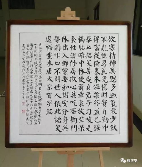 赵克逊视频