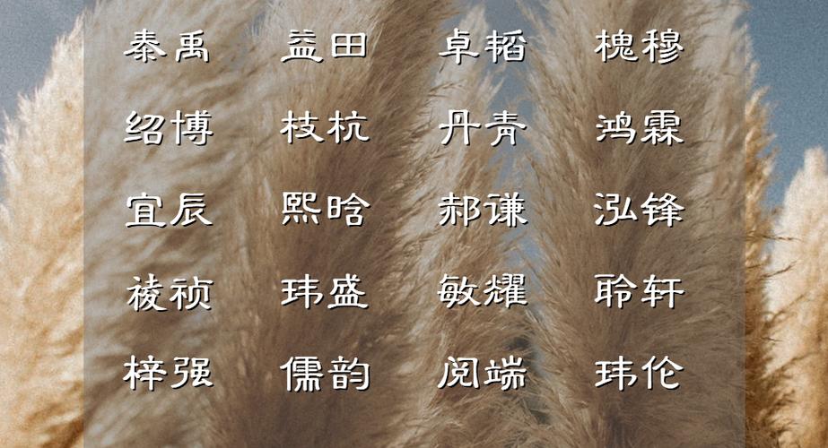 笙歌起名