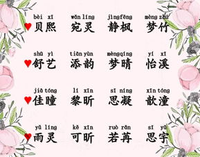 趸是什么意思解释