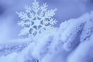 雪芙起名的文化课程评价