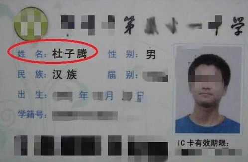 陈嘉莉起名的文化