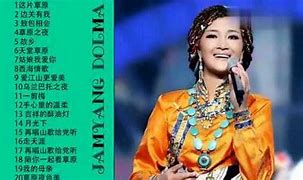 名字的歌曲有哪些