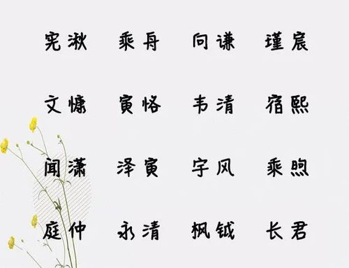 社区起名文化