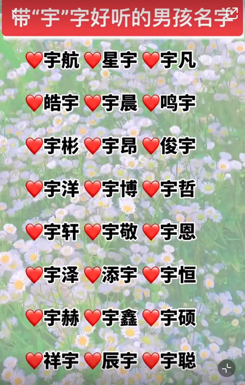 生肖学起名案例精华大公开