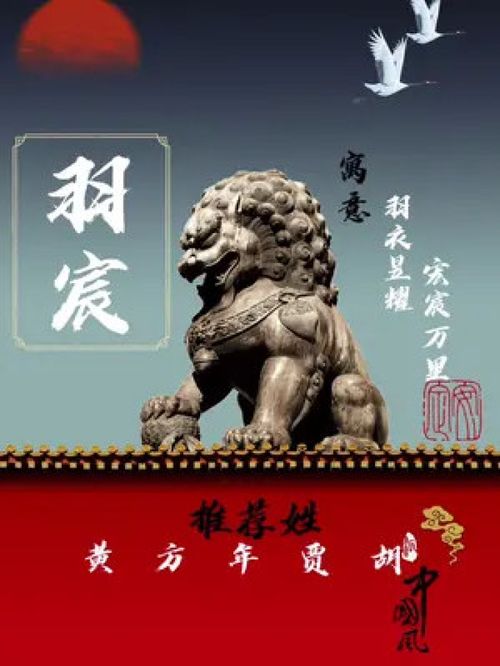 时尚名字打分