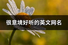 好听的网名有哪些?