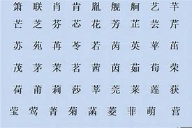 网名起名大全免费取名