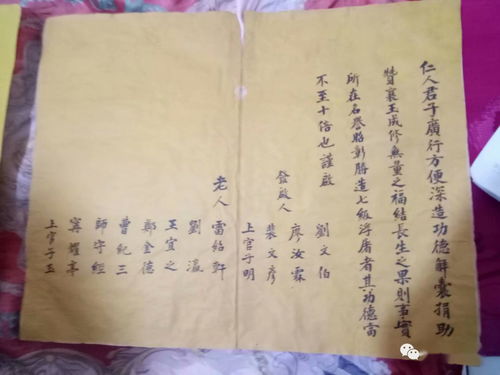 苏炜起名的文化课程评价