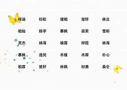 美字起名字