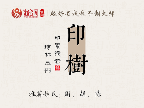 姓氏树高清