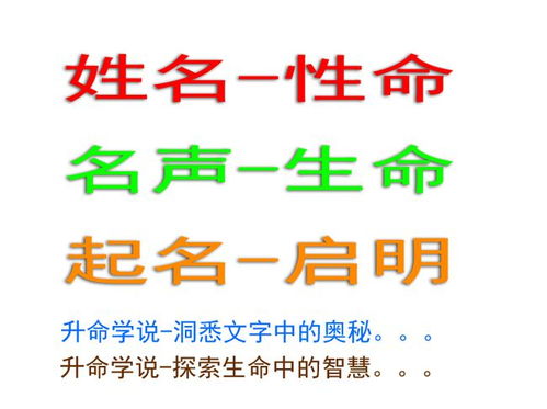金英宝宝