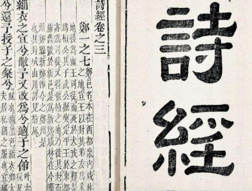 惠州市乐驹塑胶制品有限公司