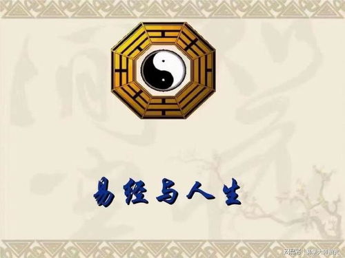 起名字的文化意义