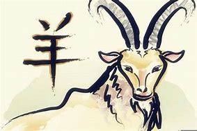 逐波科技有限公司
