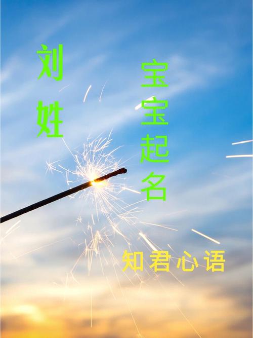 一、目标设定