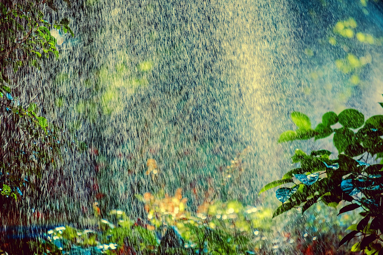 小暑——夏日的序章，热浪的前奏