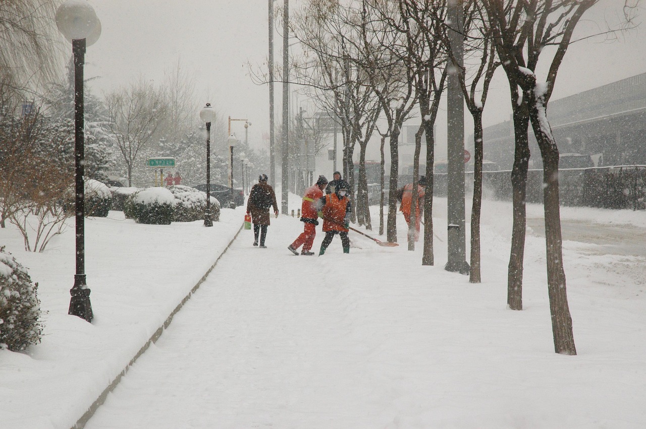 山东多地迎来暴雪，城市如何应对？