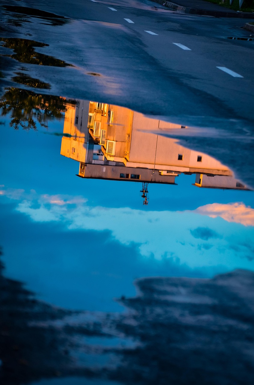 文化艺术有限公司，创意与艺术的桥梁