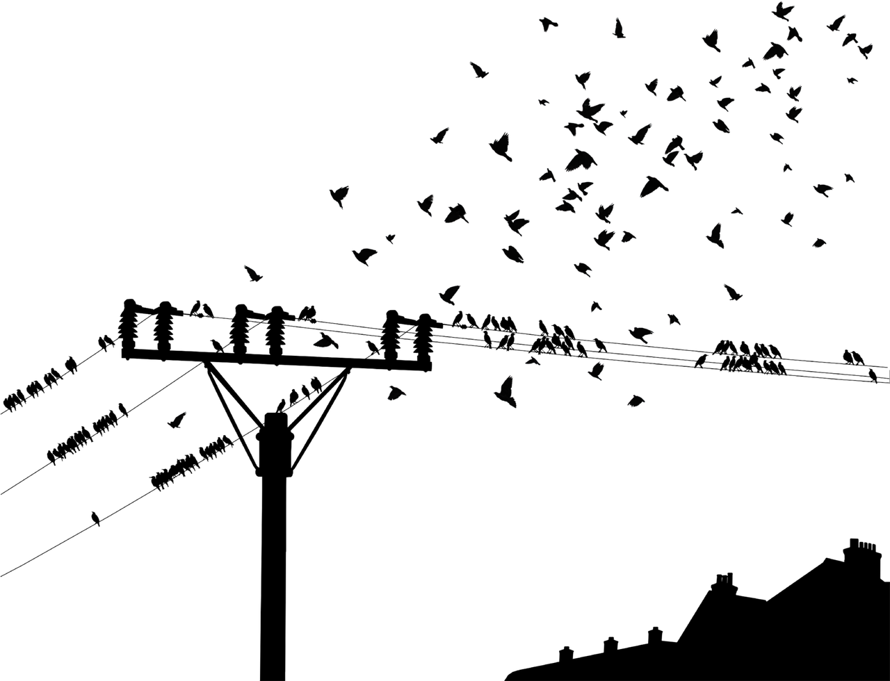 理学与工学，探索科学与技术的世界