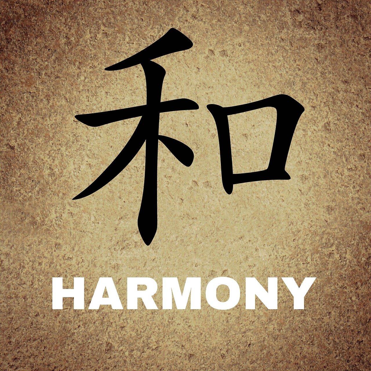 属龙缺木的字，打造和谐人生的关键